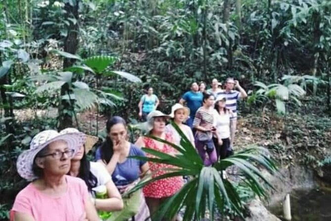 chocolate-and-coffee-tour-farm-don-jorge