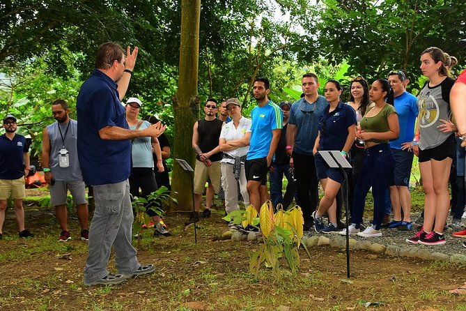 chocolate-experience-in-jaco-beach-and-los-suenos