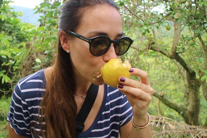 chocolate-tour-and-tropical-fruits