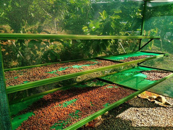 chocolate-tour-manuel-antonio
