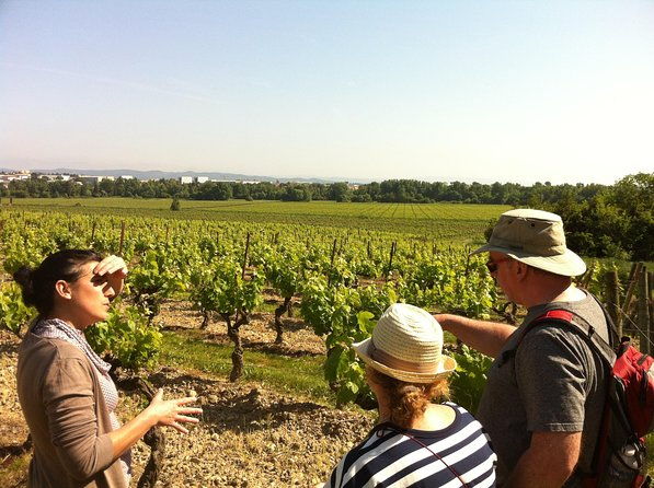 cite-de-carcassonne-and-wine-tasting-private-day-tour-from-toulouse