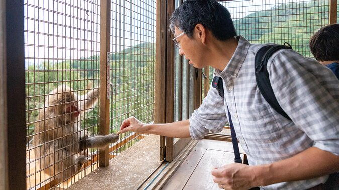city-escape-arashiyama-park-private-day-trip