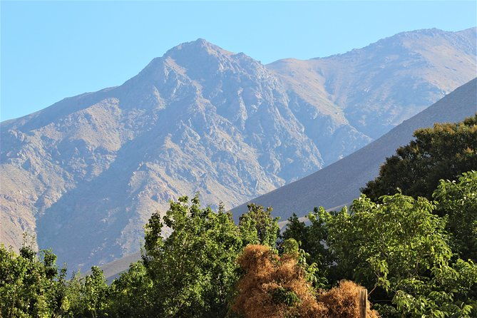 classic-elqui-valley-between-vineyards-and-fruit-trees