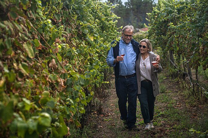 classic-tasting-quinta-de-santa-cristina-vinho-verde