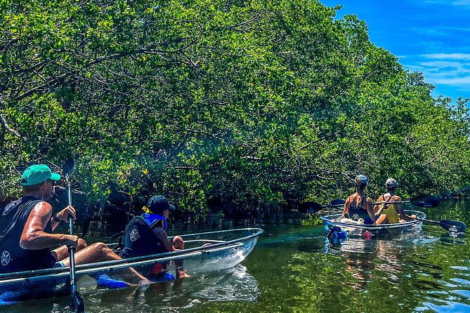 clear-kayak-ecotour-at-robinson-preserve-in-bradenton-florida