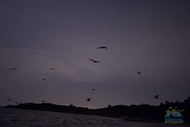 clear-kayak-florida-bioluminescence-tour-beacon-42-titusville-2