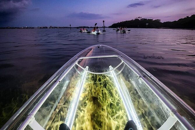 clear-kayak-led-night-glass-bottom-tour-anna-maria-island