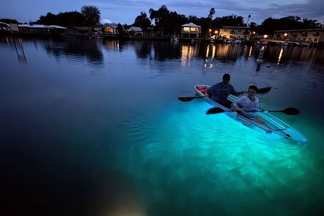 clear-kayak-manatee-viewing-sunset-and-glow-tour-of-crystal-river