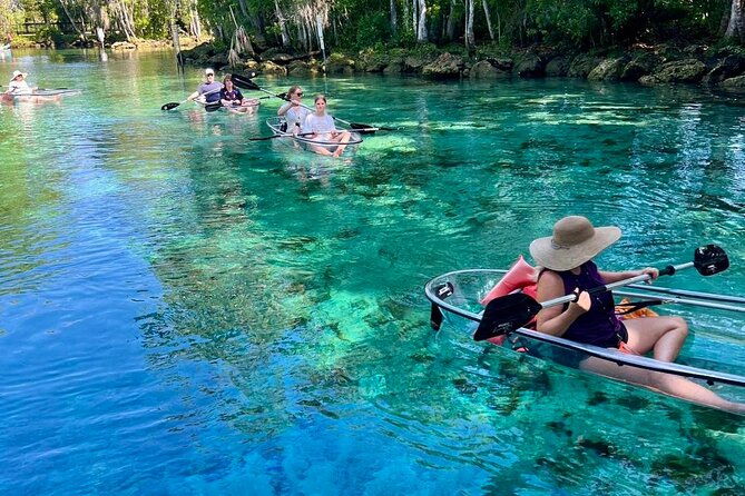 clear-kayak-spring-manatee-tour-crystal-river-with-free-photos