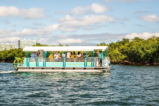 clearwater-island-hop-and-dolphin-watch-with-swimming