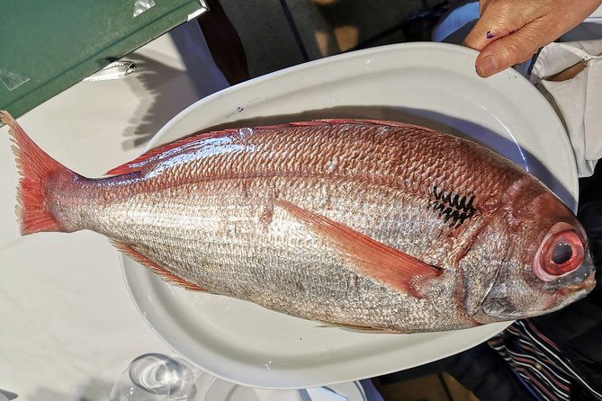 cliffs-grilled-fish-and-txakoli-wine-private-gastronomic-adventure
