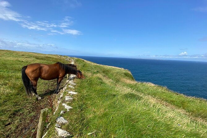 cliffs-of-moher-hiking-tour-from-galway-small-group
