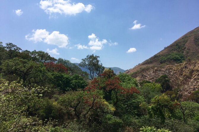 cloud-forest-hiking