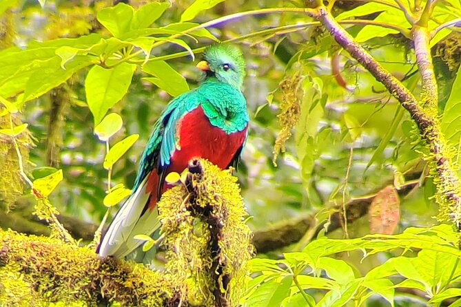 cloud-forest-small-group-tour