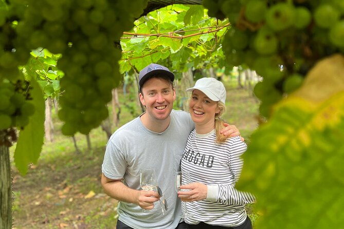 coastal-winery-camino-trail-walking-tour-from-san-sebastian