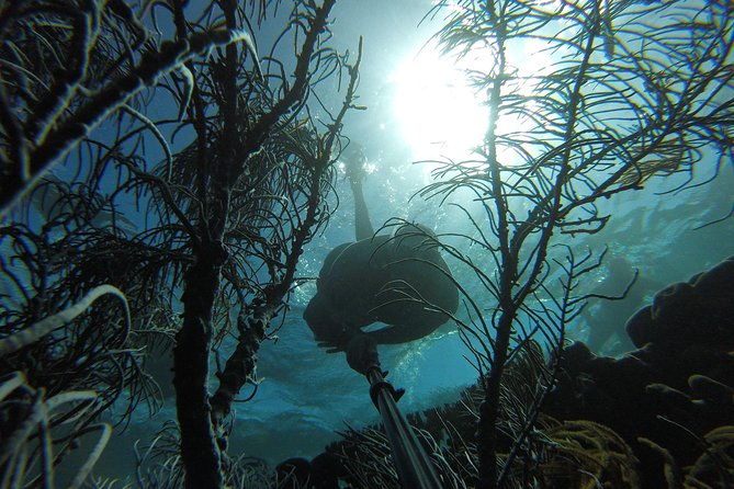 coastline-snorkel-and-bbq