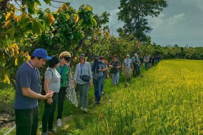 cocoa-and-gastronomy-tour-at-hacienda-cacaoymango