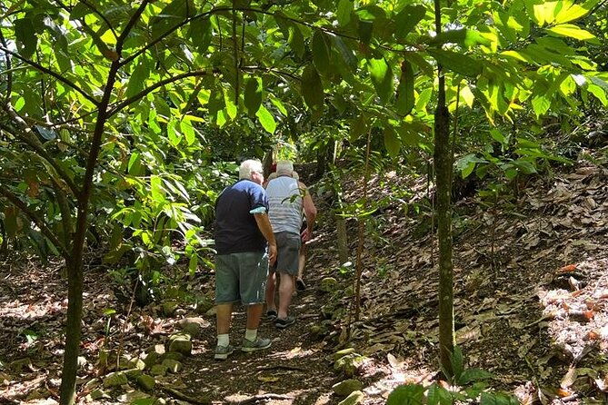 cocoa-artisan-chocolate-route-with-an-historical-tour-in-puerto-plata-city