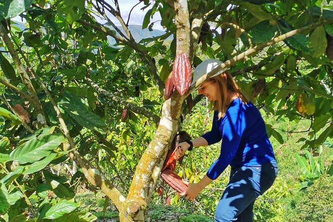 coffee-chocolate-private-tour-in-medellin-genuine-experience