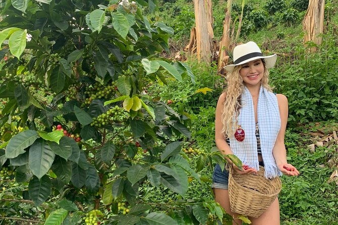 coffee-farm-and-santa-rosa-hot-springs-tour-from-pereira-or-armenia