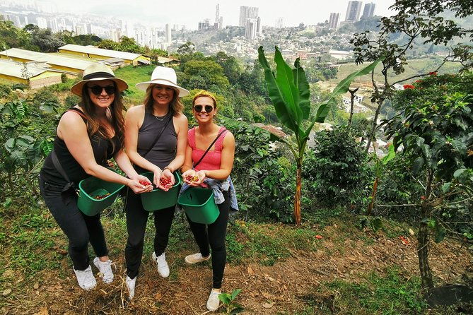 coffee-farm-atvs-private-tour-in-medellin-stunning-views-fun