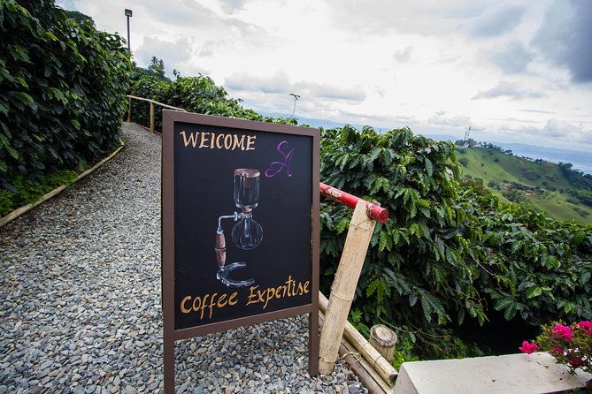 coffee-farm-experience-at-hacienda-san-alberto-from-salento