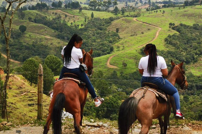 coffee-horses-private-tour-in-medellin-a-fun-authentic-day