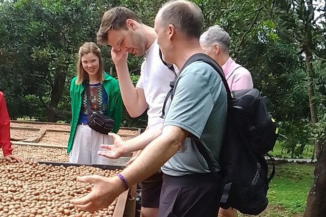 coffee-macadamia-fincas-tour