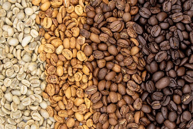 coffee-plantation-visit-and-tasting-activity-in-costa-rica
