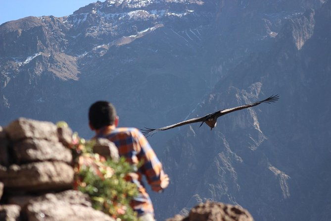 colca-canyon-2-days-1-night