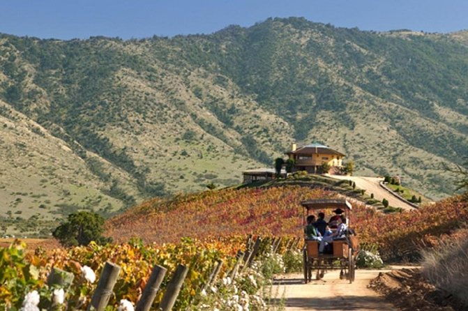 colchagua-valley-winery-day-trip-from-santiago