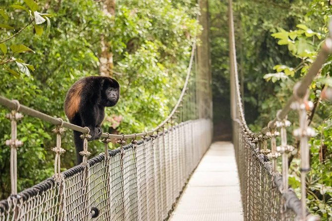 combo-arenal-suspension-bridges-thermal-spa-fortune-falls
