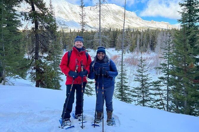 combo-tour-driving-and-snowshoe-trek-of-glacier-national-park