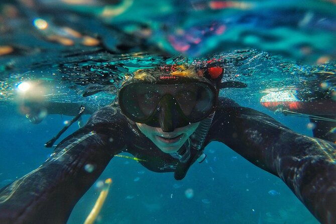 comino-guided-snorkeling-experience