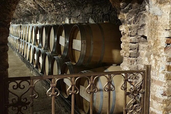 concha-y-toro-semi-private-tour-with-3-wine-tastings