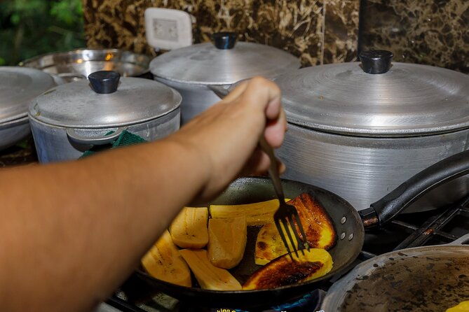 cooking-class-in-manuel-antonio-with-medicinal-plants-garden-visit