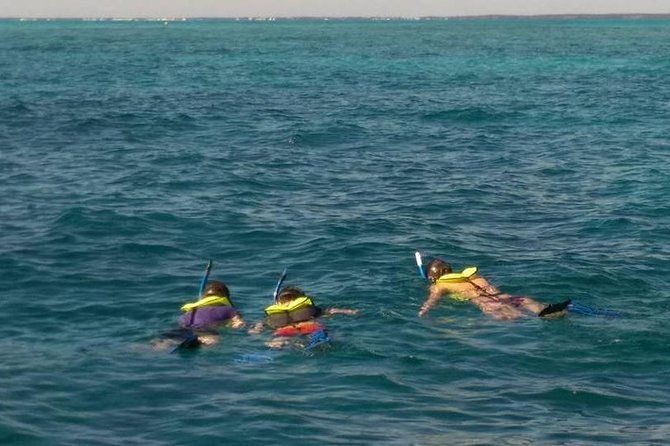 coral-reef-private-snorkel-tour-out-to-john-pennekamp-coral-reef-state-park