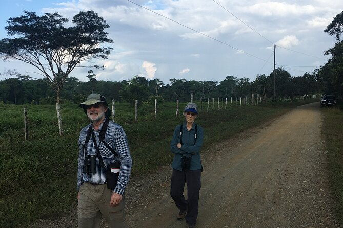 corcovado-los-planes-birding-tour