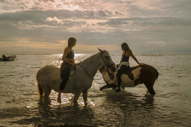 costa-rica-horseback-riding-experience