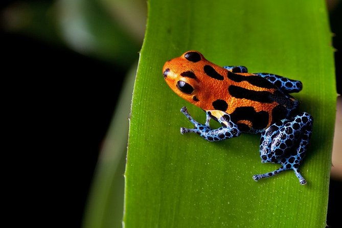 costa-rica-top-adventure-8d-7n-vacation-package