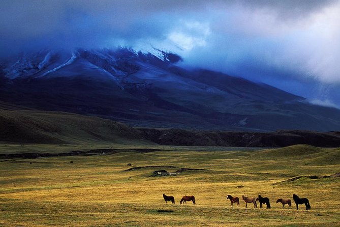 cotopaxi-volcano-biking-small-group-full-day-tour