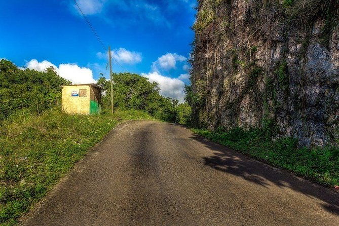 country-side-sightseeing-full-day-tour