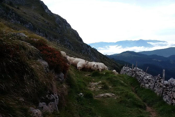 countryside-coast-private-tour