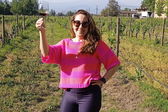 cousino-macul-vineyard-maipo-valley-premium-tasting-hd