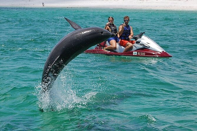crab-island-dolphin-jetski-adventure-2