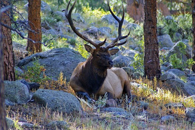 creative-soul-scavenger-hunt-of-steamboat-springs