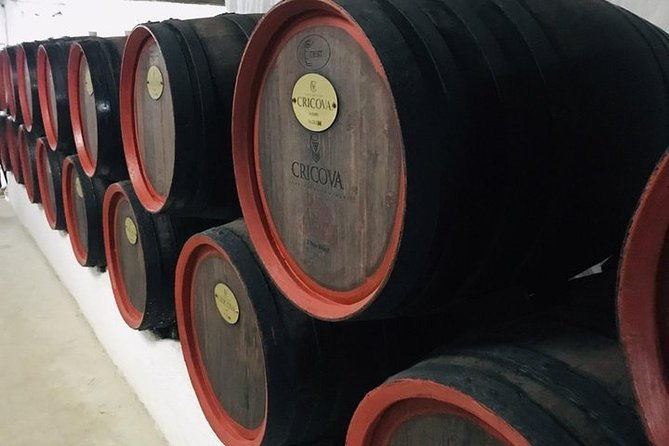 cricova-winery-spa-visit