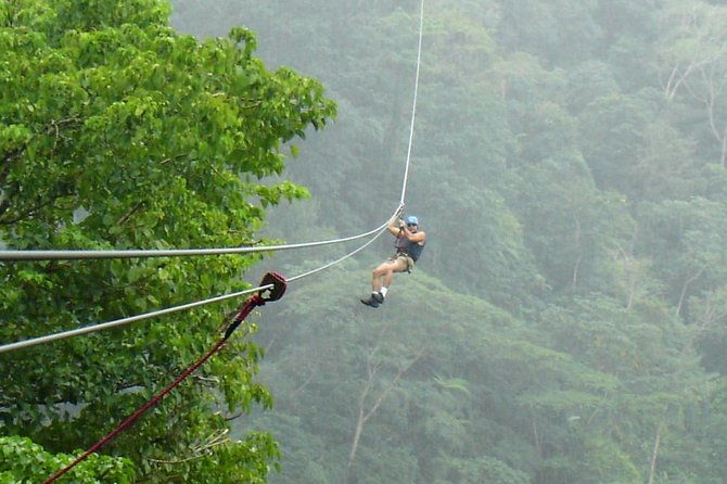 crocodiles-safari-zipline-adventure-private-sightseeing-tours