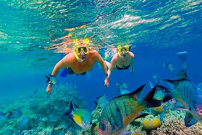cruise-ship-multiple-snorkeling-snacks-music-private-vehicle