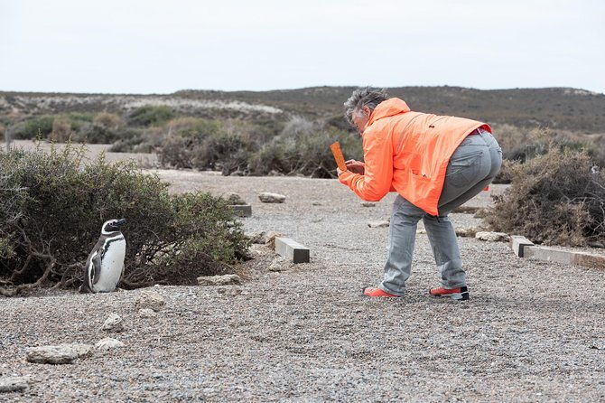 cruise-shore-excursion-ea-san-lorenzo-peninsula-valdes-patagonia-argentina